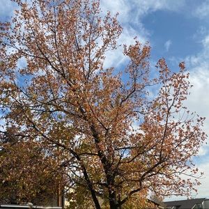 Meet your Posher, Reem